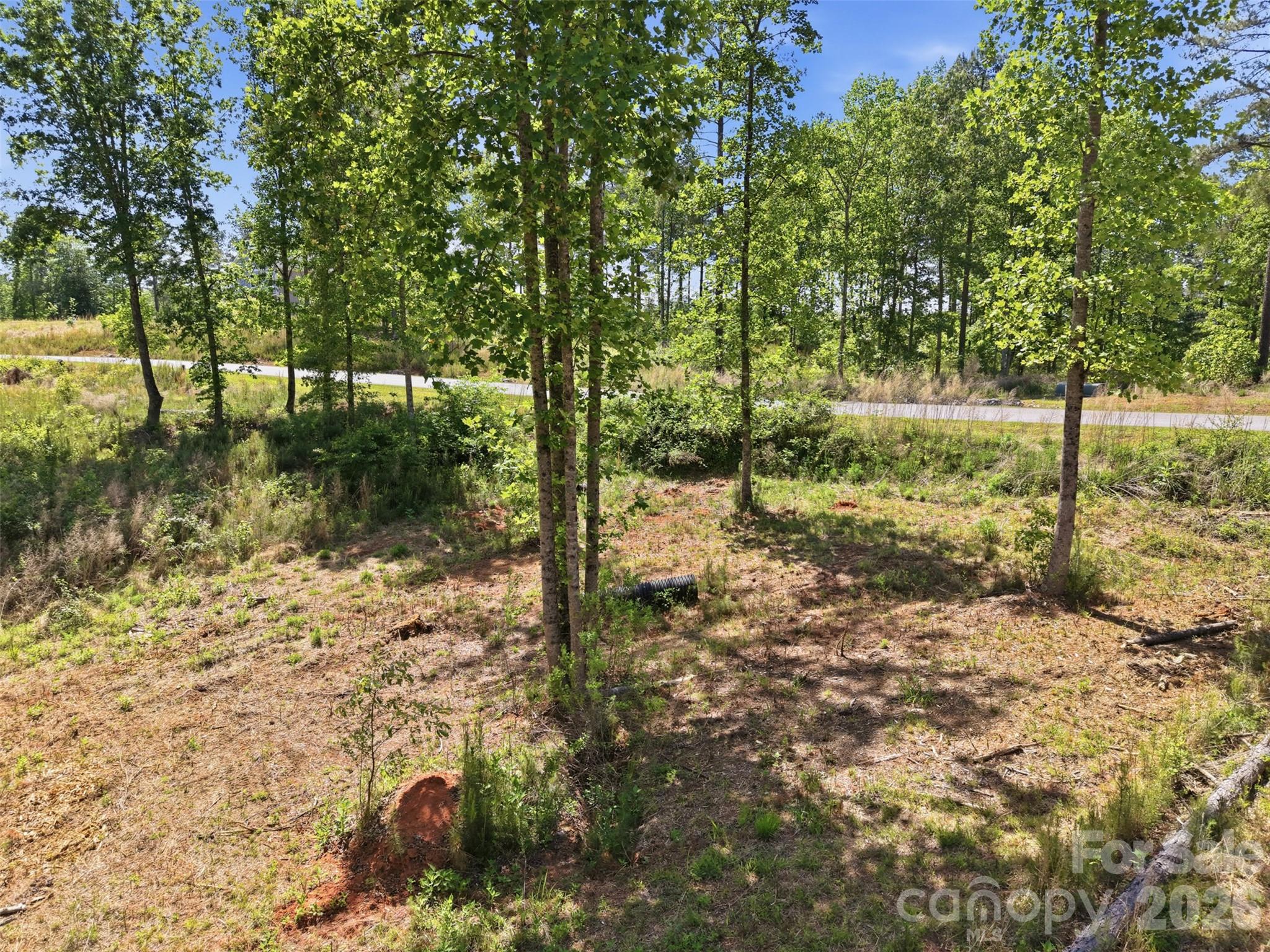 Lakeside Reserve - Land