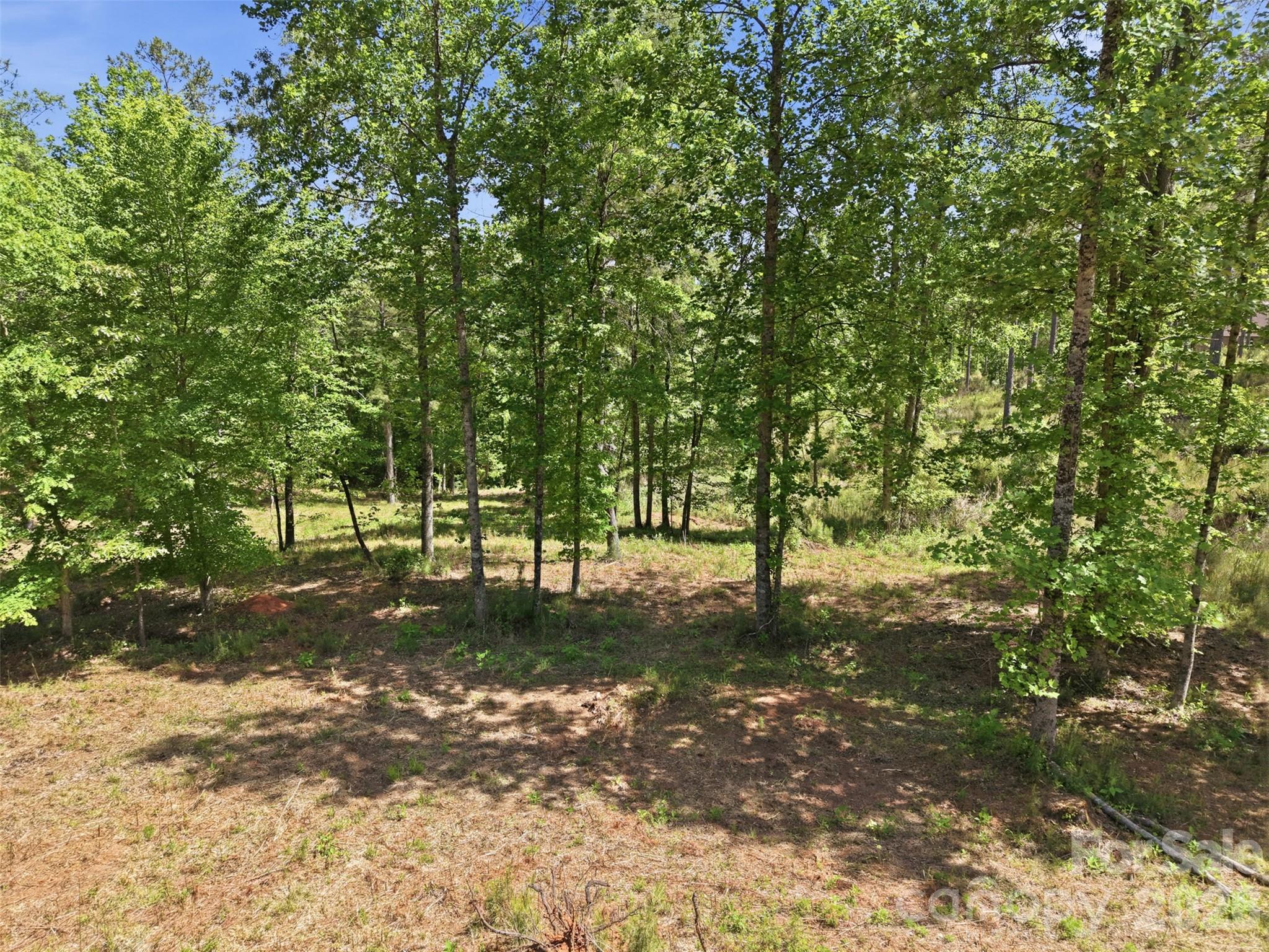 Lakeside Reserve - Land