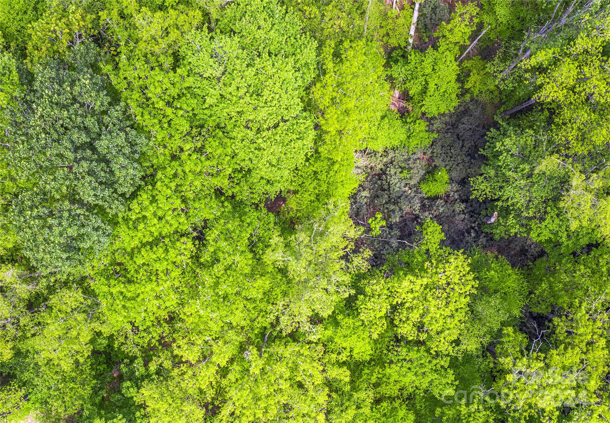 Carriage Park - Land