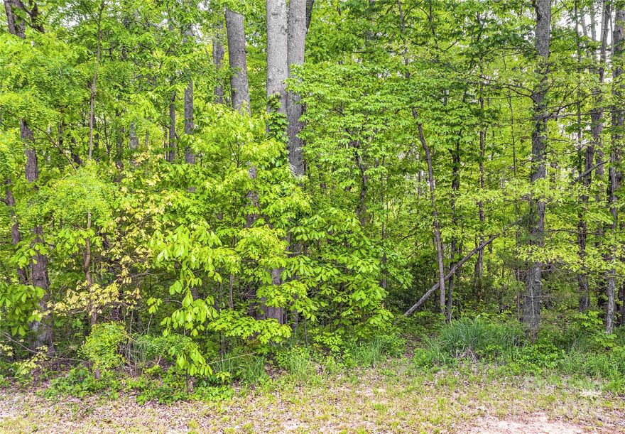 This rare opportunity presents an unbelievable chance to build a custom or spec home within a guarded and gated community just minutes from downtown Hendersonville. The private lot, adjacent to community green space on a quiet street, features a gently sloping terrain for easy construction. Carriage Park is an active community with amenities like a clubhouse, indoor pool, tennis courts and social gatherings. Listing agent is member of owner LLC.