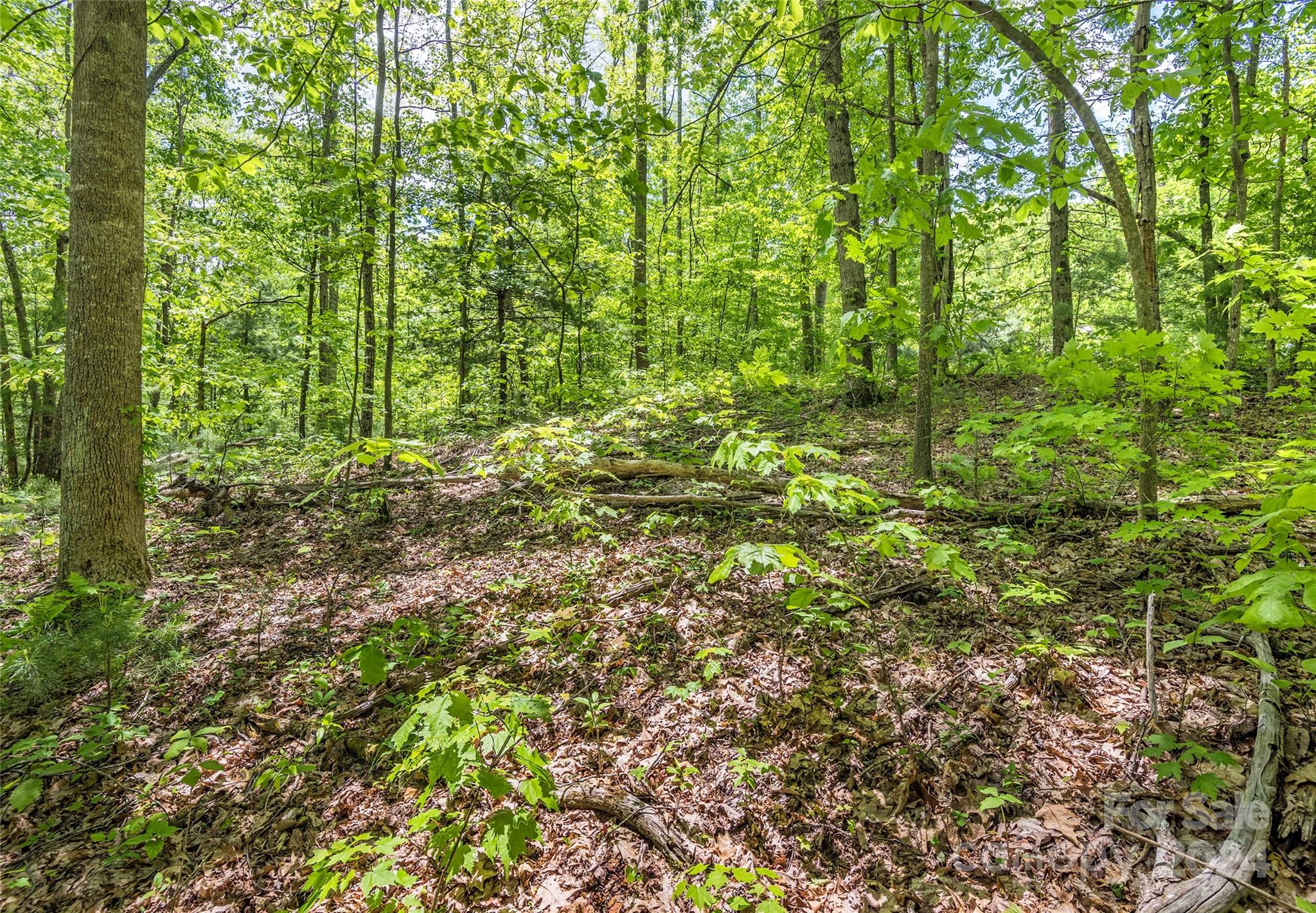 Carriage Park - Land