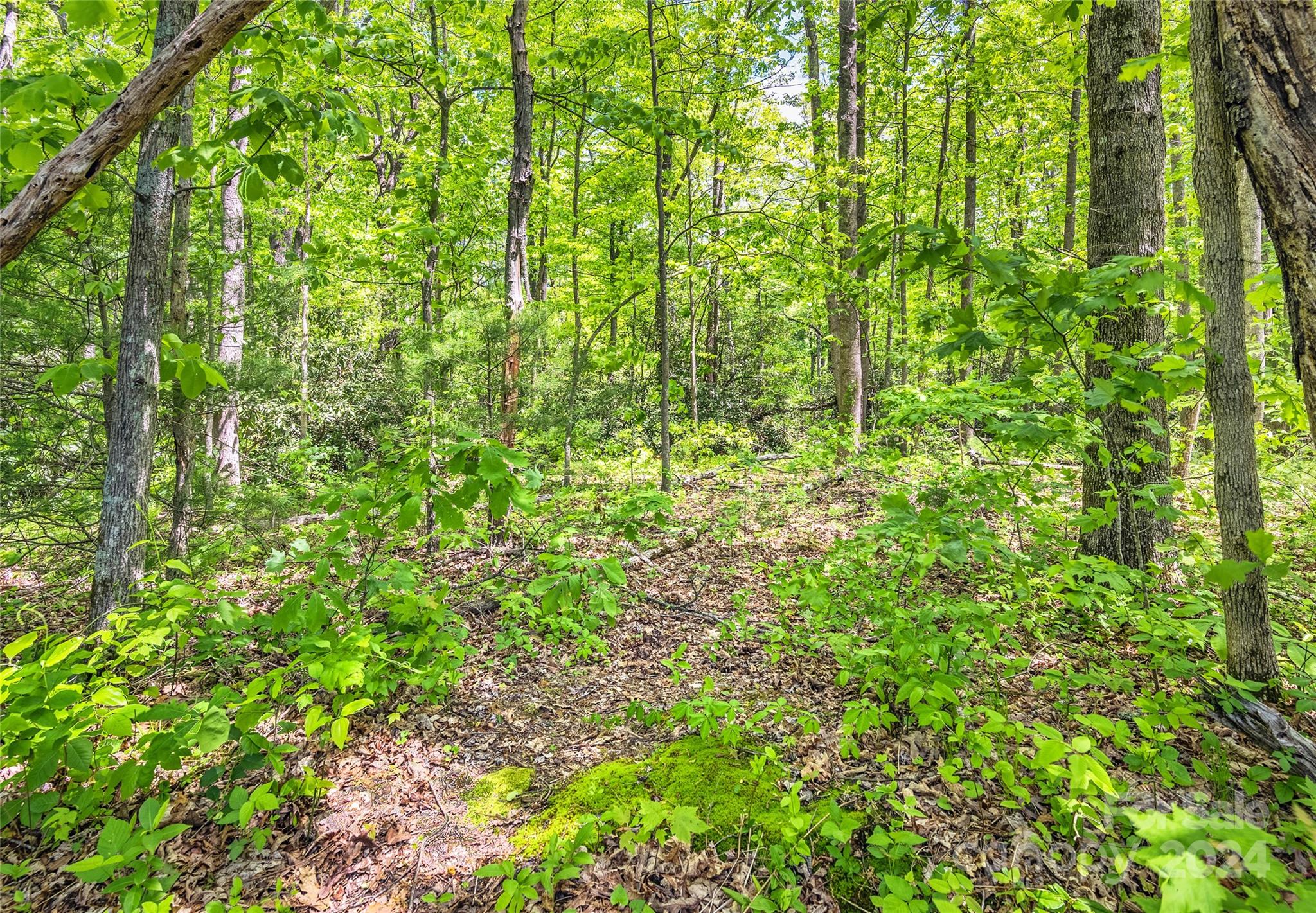 Carriage Park - Land