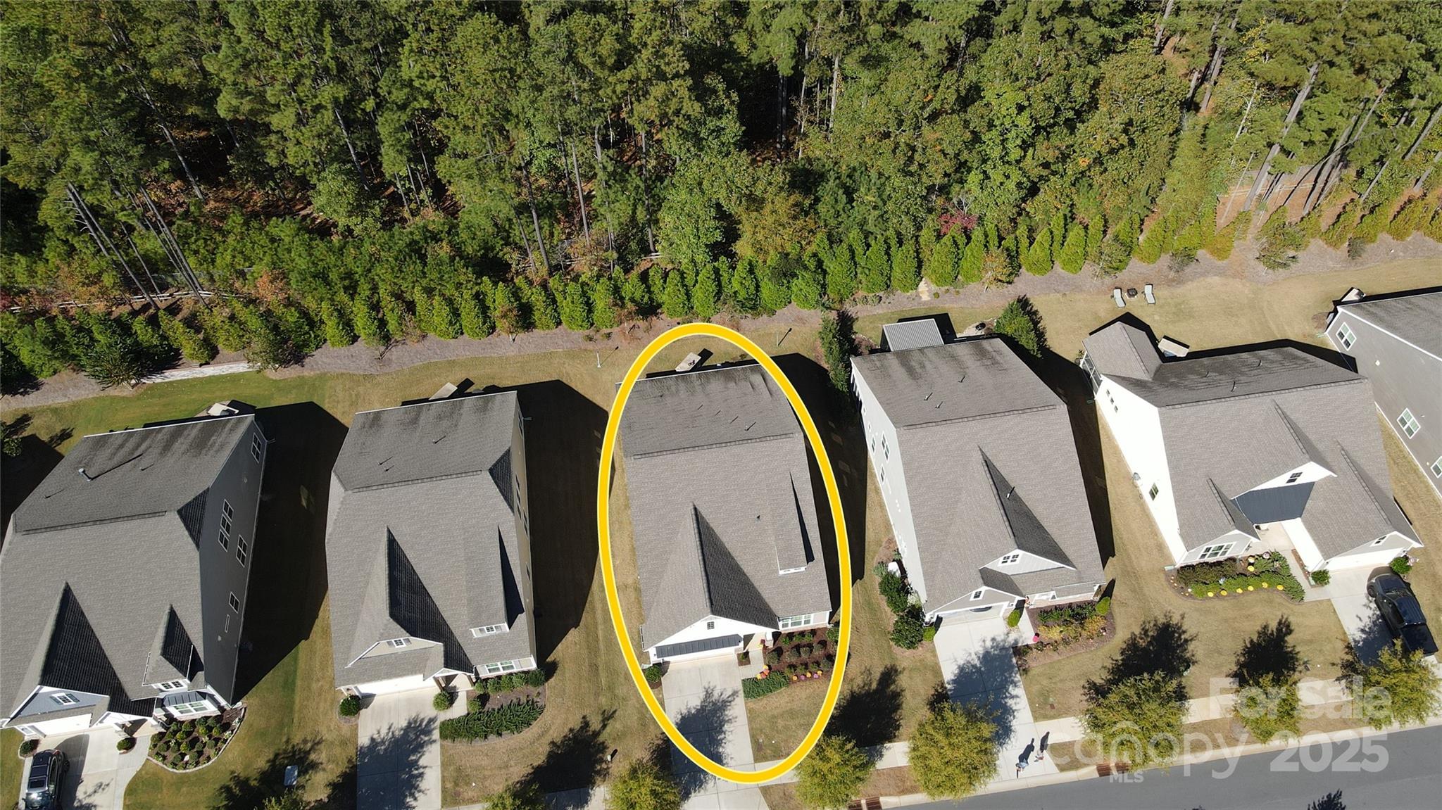 128 Van Gogh Trail