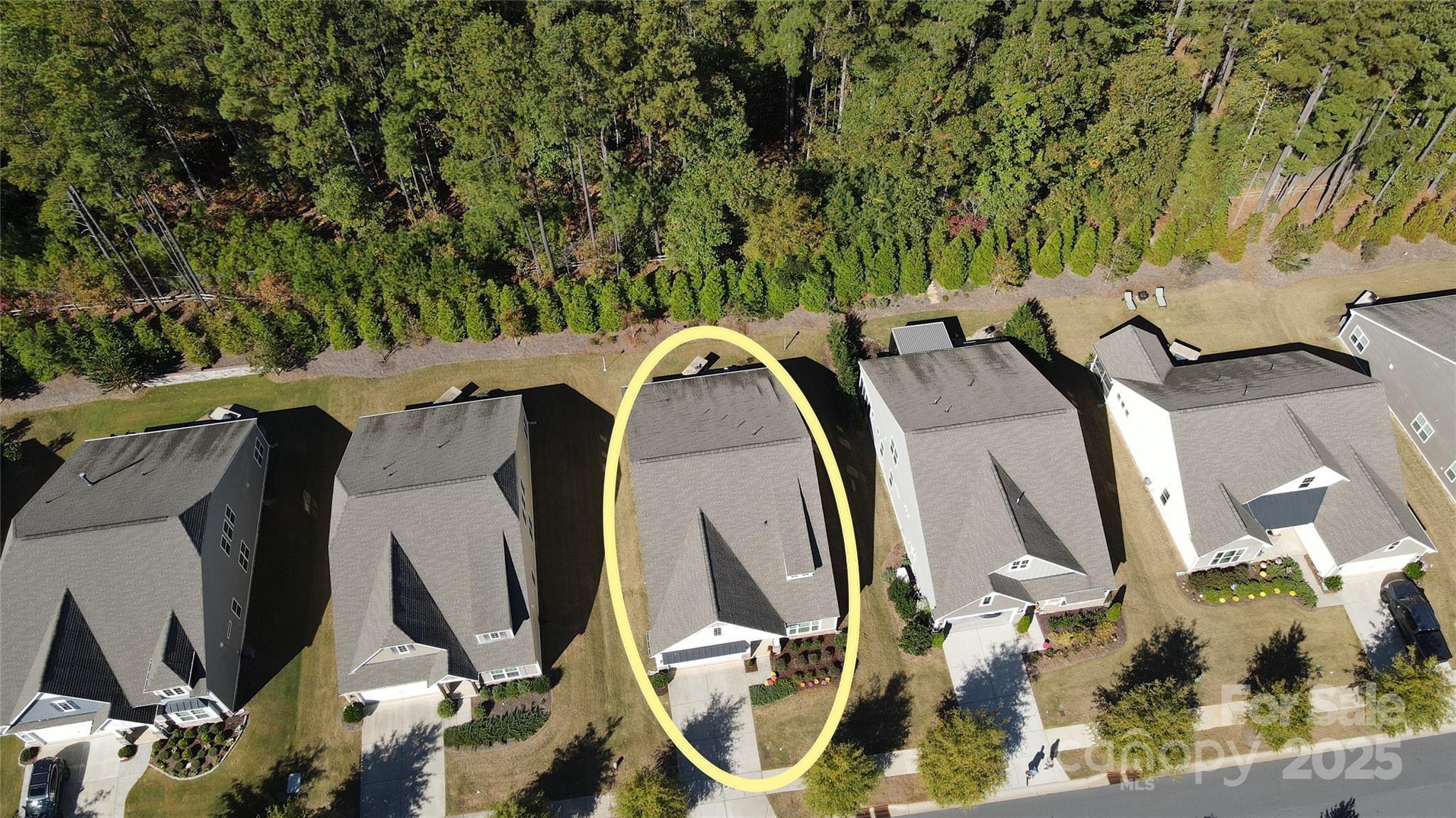 128 Van Gogh Trail
