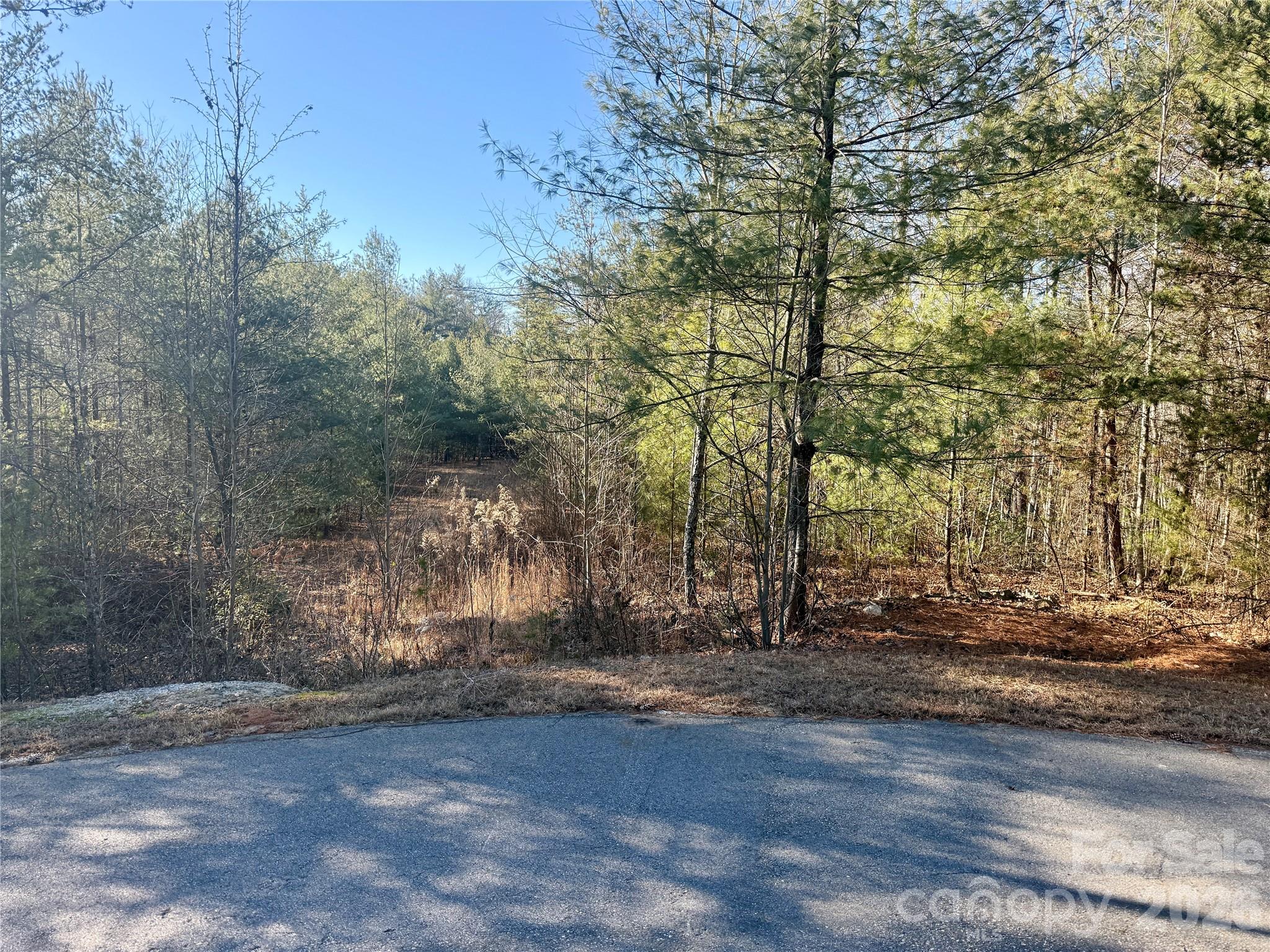 The Coves Mountain River Club - Land