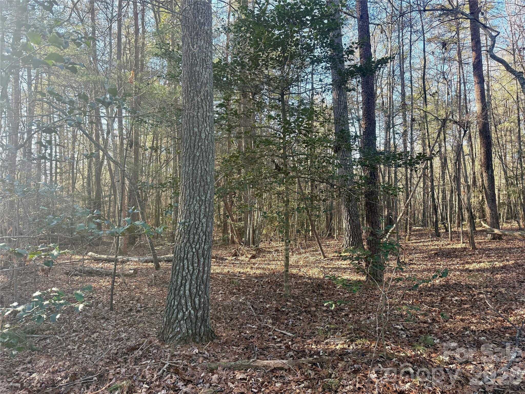 The Coves Mountain River Club - Land