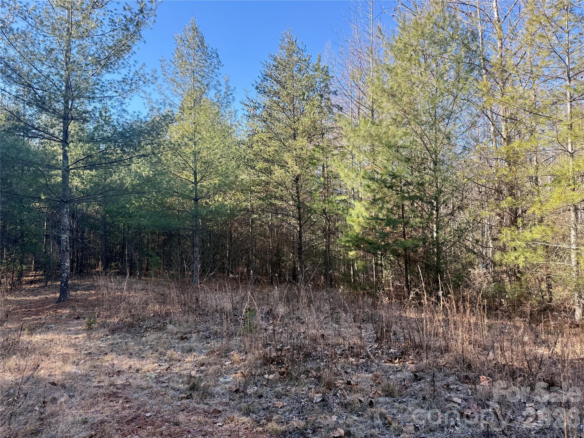 The Coves Mountain River Club - Land