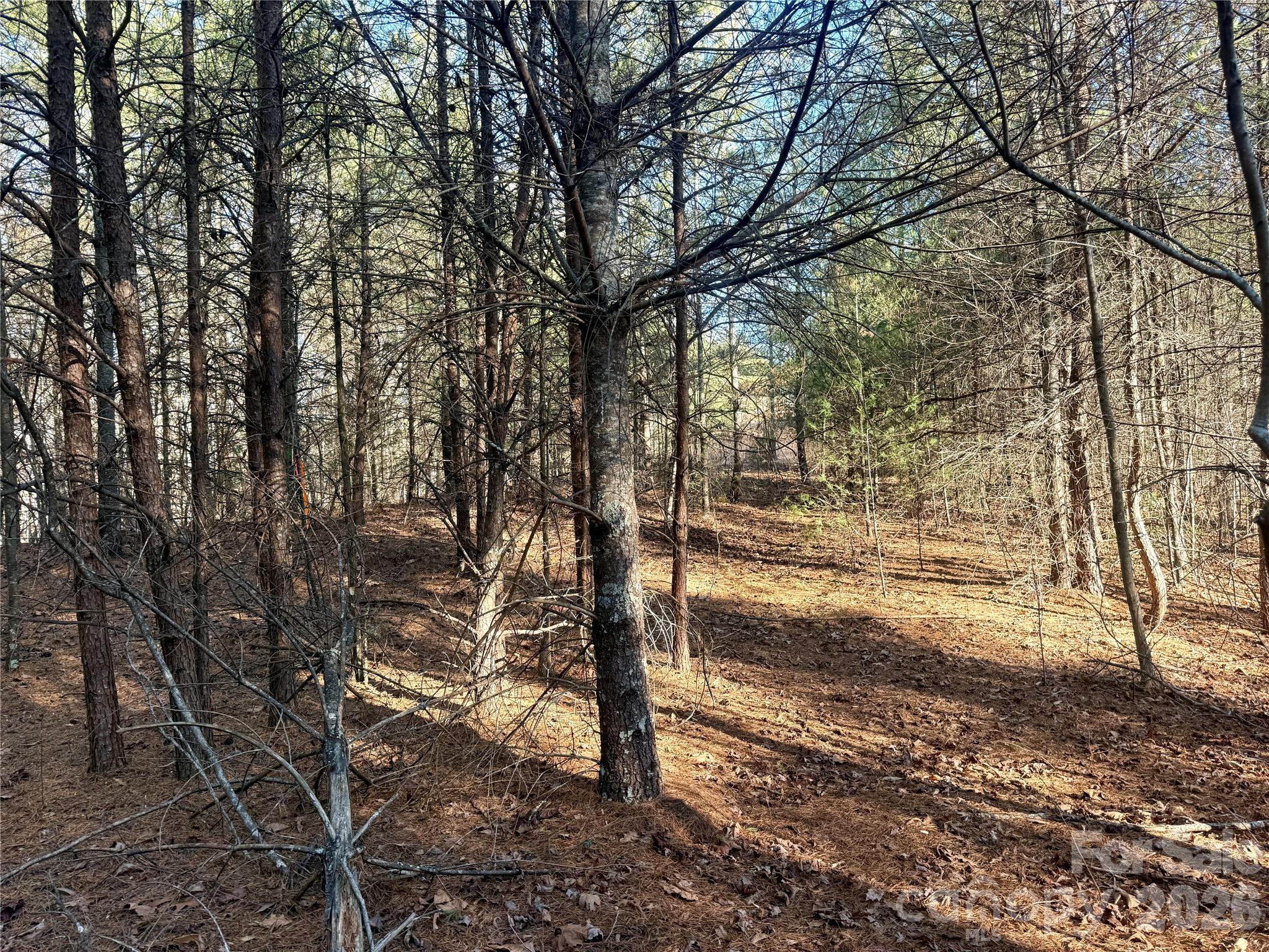 The Coves Mountain River Club - Land