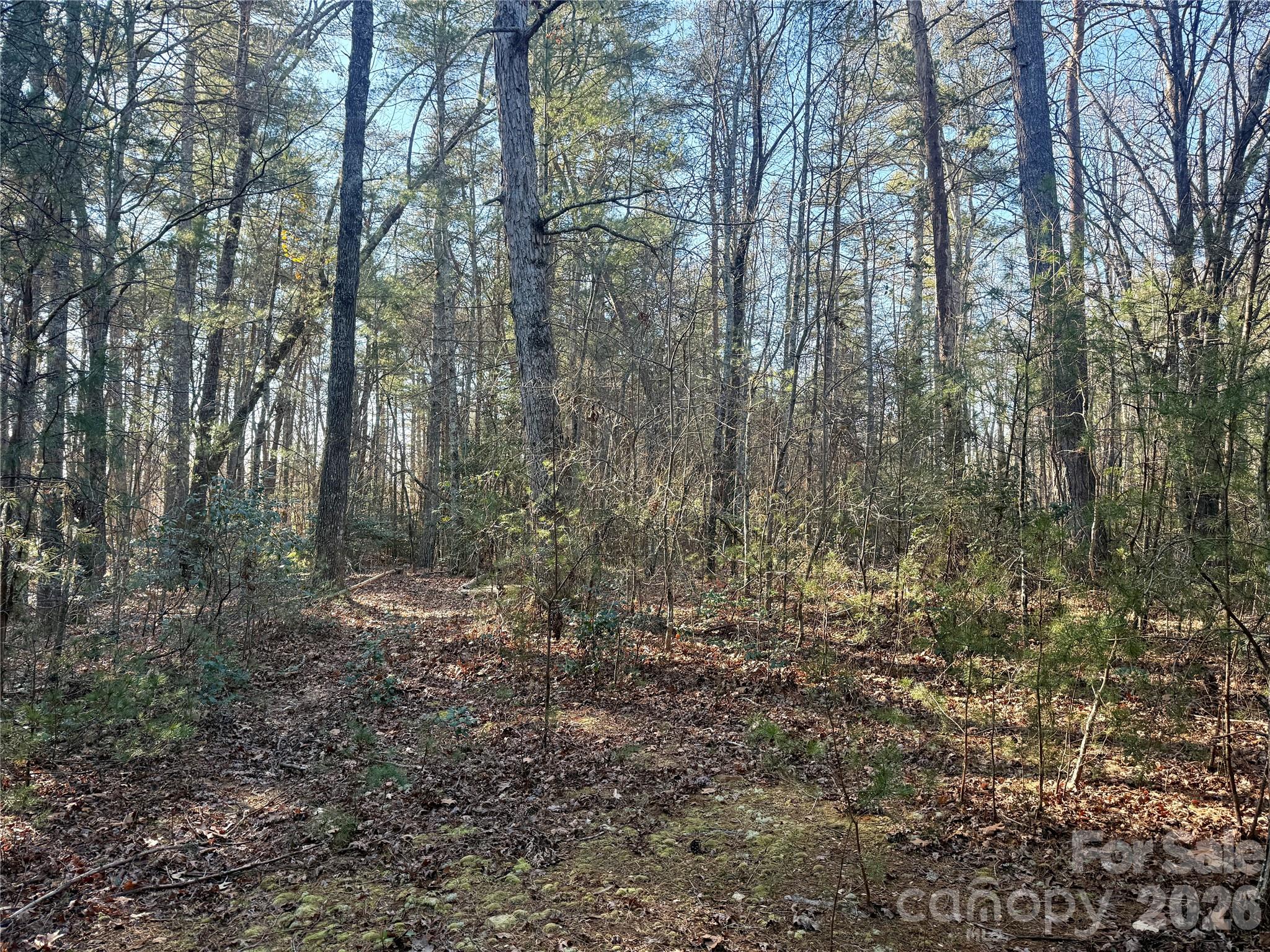 The Coves Mountain River Club - Land