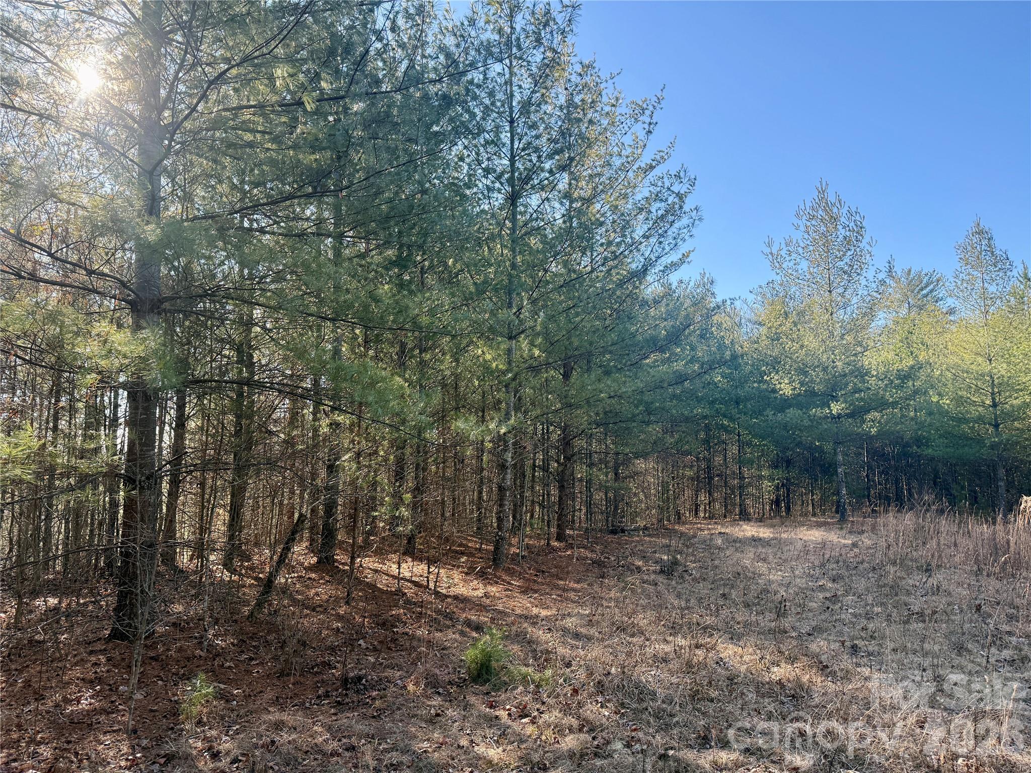 The Coves Mountain River Club - Land