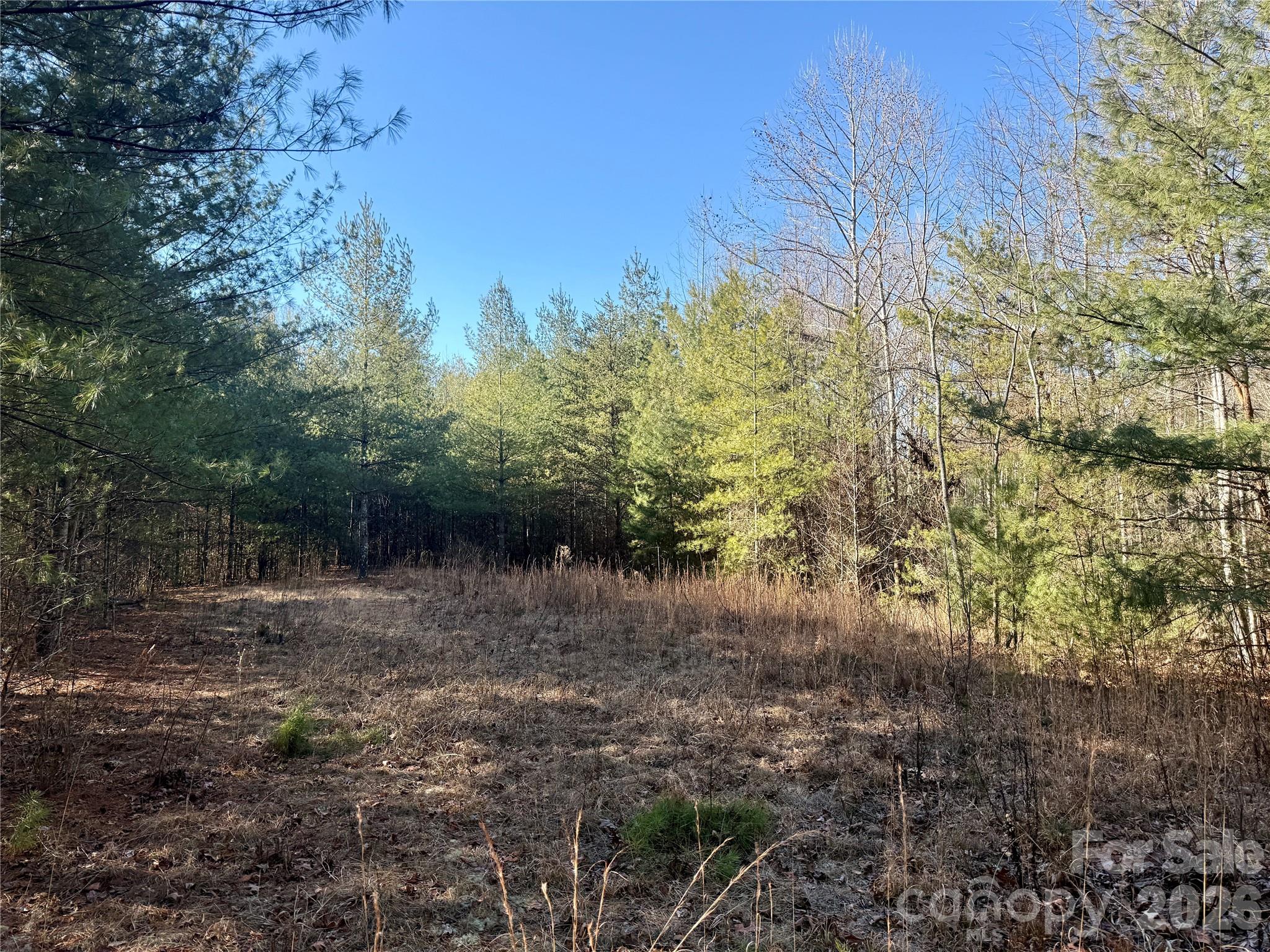 The Coves Mountain River Club - Land