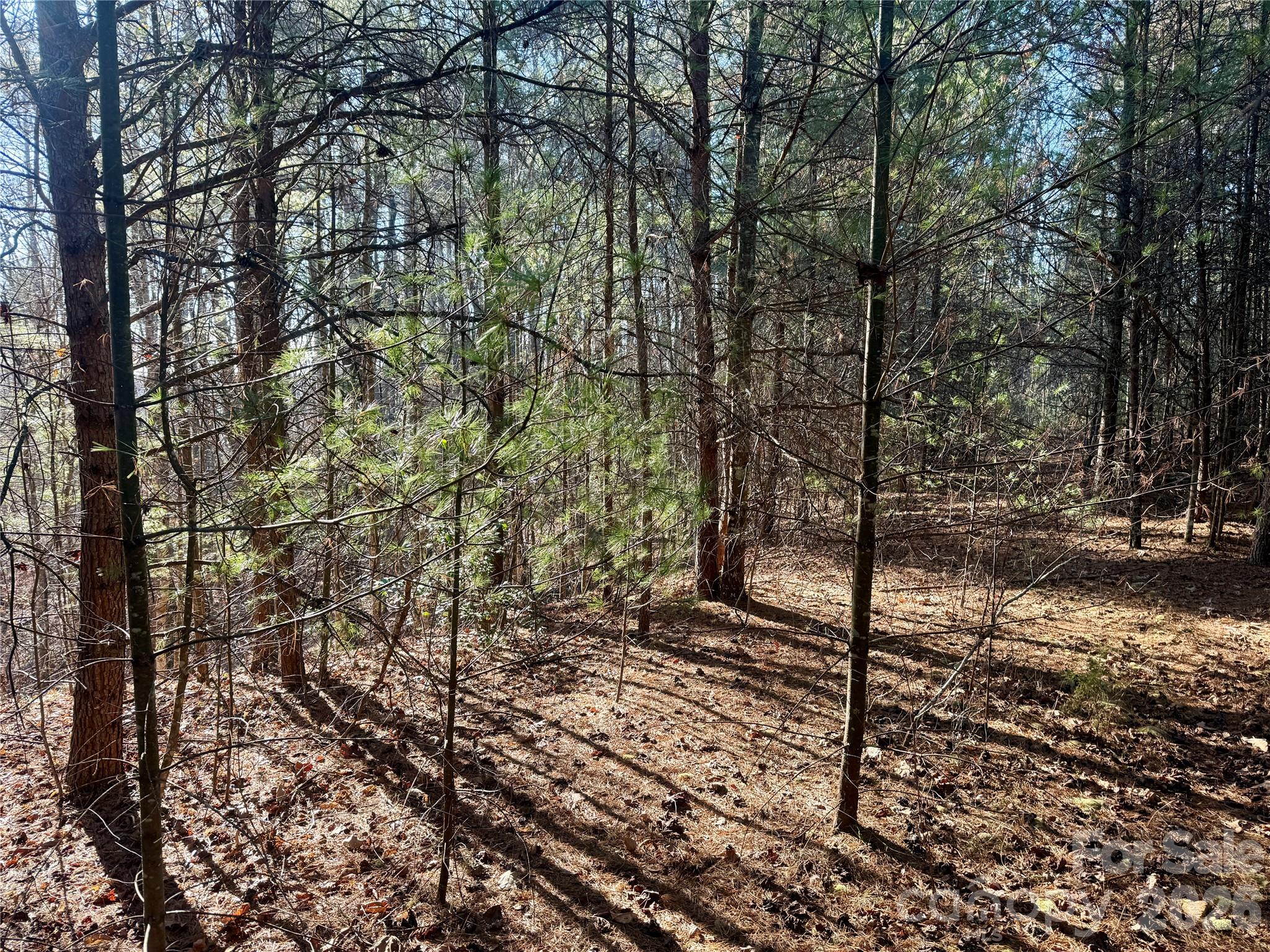 The Coves Mountain River Club - Land