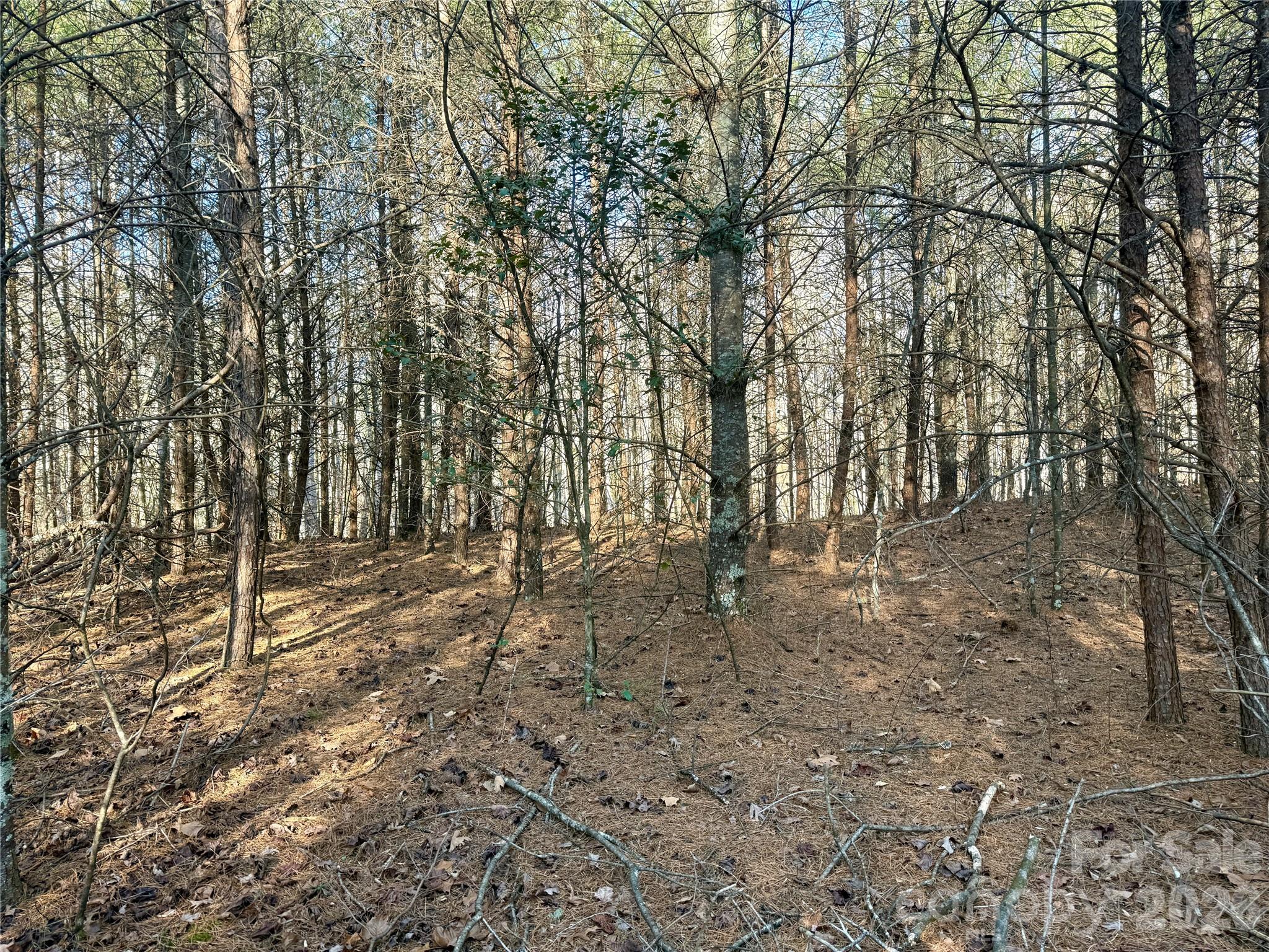 The Coves Mountain River Club - Land