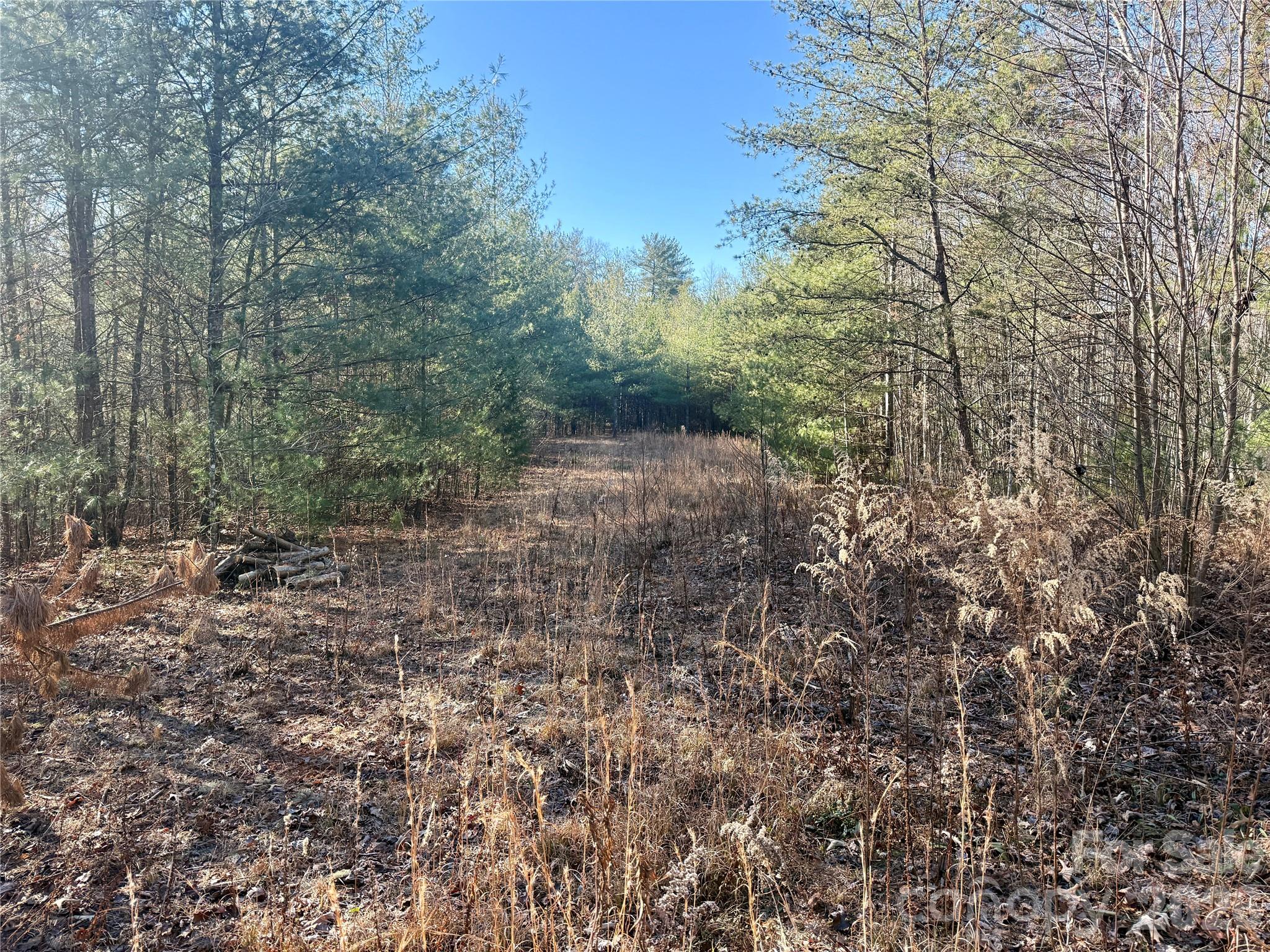 The Coves Mountain River Club - Land