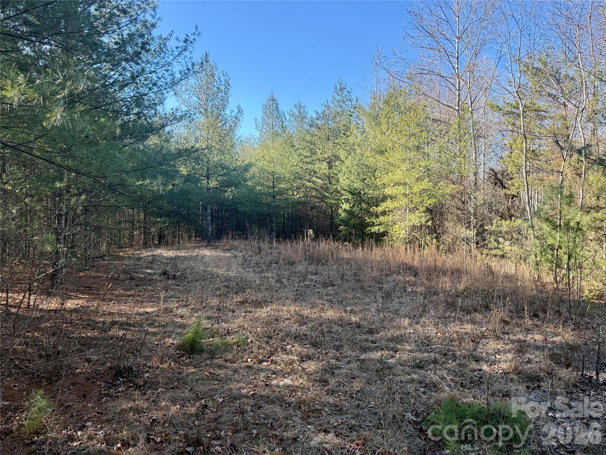 The Coves Mountain River Club - Land