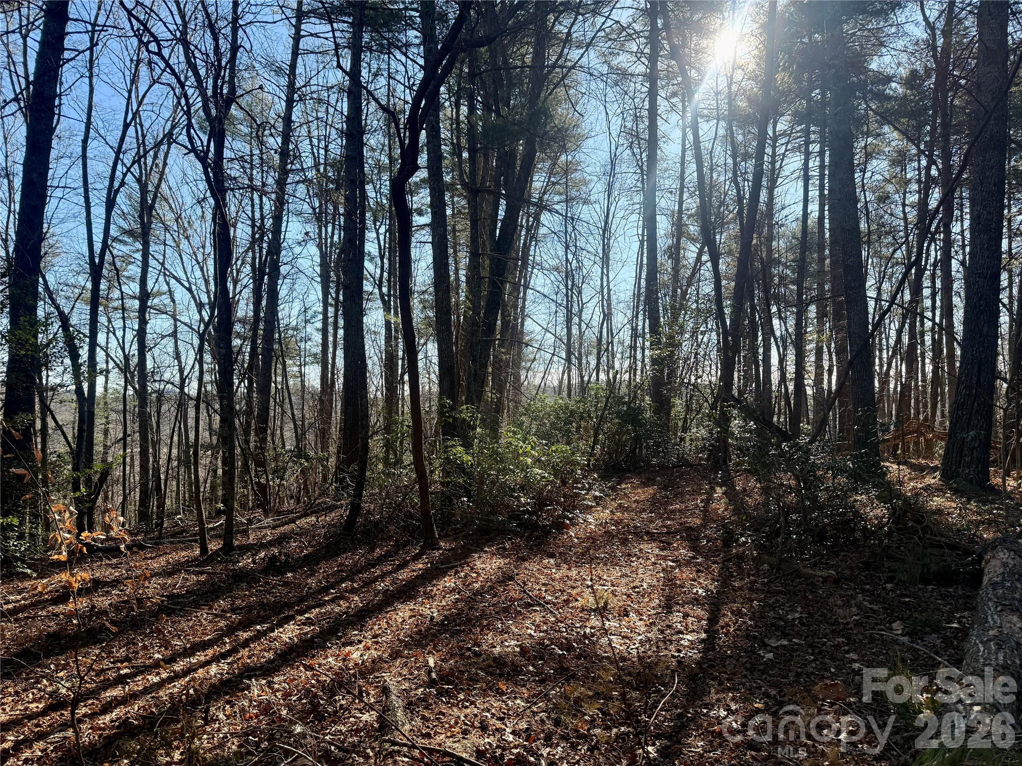 The Coves Mountain River Club - Land