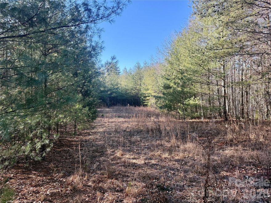 Are you dreaming of living in the Blue Ridge Mountains but don't want steep land, treacherous roads and expensive grading costs?  Look no further than this gently sloped and naturally wooded 3.5 acre homesite in one of the premier gated community in western North Carolina, The Coves Mountain River Club! Located on a quiet cul-de-sac and less than a mile inside The Coves' most gentle gated entrances, this property exemplifies easy building and easy living. The primary building site is tucked back off the road approx. 100 yards into the woods, allowing all the serenity that the Blue Ridge is famous for. Hiking enthusiasts will love waking up and experiencing nature right off your own back porch. Residents of The Coves enjoy a wealth of natural amenities and a healthy social calendar with dozens of clubs and hobby groups. Our Pisgah Mountain Lodge is thoughtfully designed for panoramic mountain views and plenty to do both inside and out. The saltwater pool, wraparound porches, firepits, grills & picnic shelter offer the perfect setting to meet up with friends and neighbors. Inside, read a book around the cozy fireplace, play a round of pool in the loft lounge, get your sweat on in the fitness center or just sip some coffee (or wine) in one of the many rocking chairs while you enjoy the endless view. Residents also have access to miles of nature trails for hiking, biking and horseback riding. Board your horse in one of 2 community stables or gather with friends in the vast community gardens. The Coves borders 5 miles on the beautiful Johns River which offers great kayaking, tubing or trout fishing. Come see this wonderful mountain homesite now and start living the simple life!