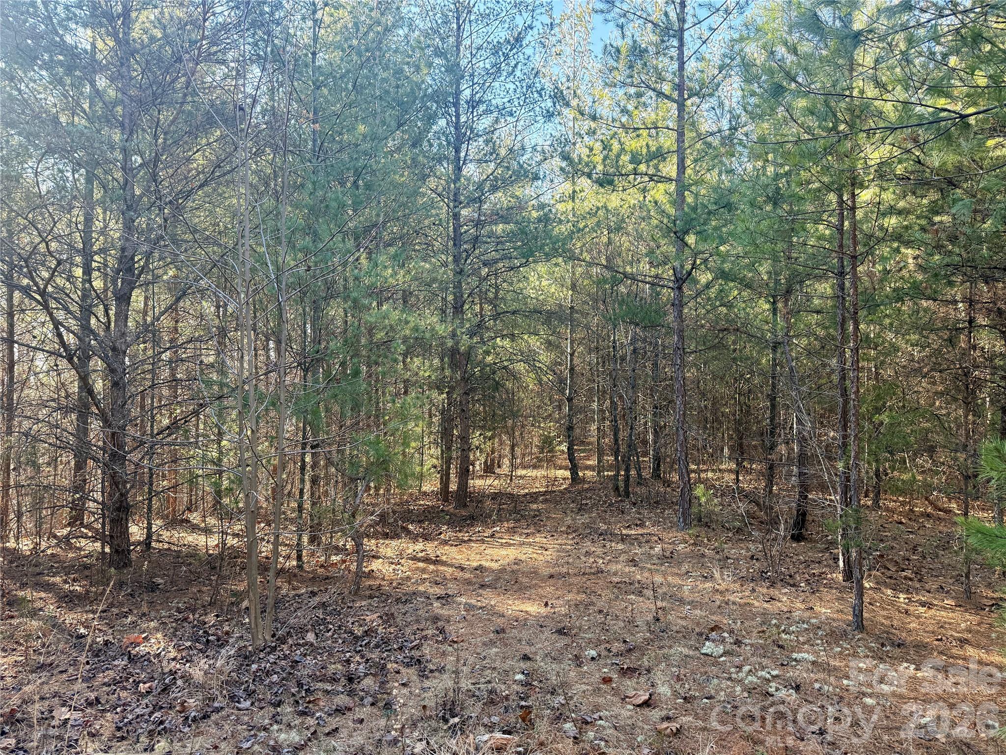 The Coves Mountain River Club - Land