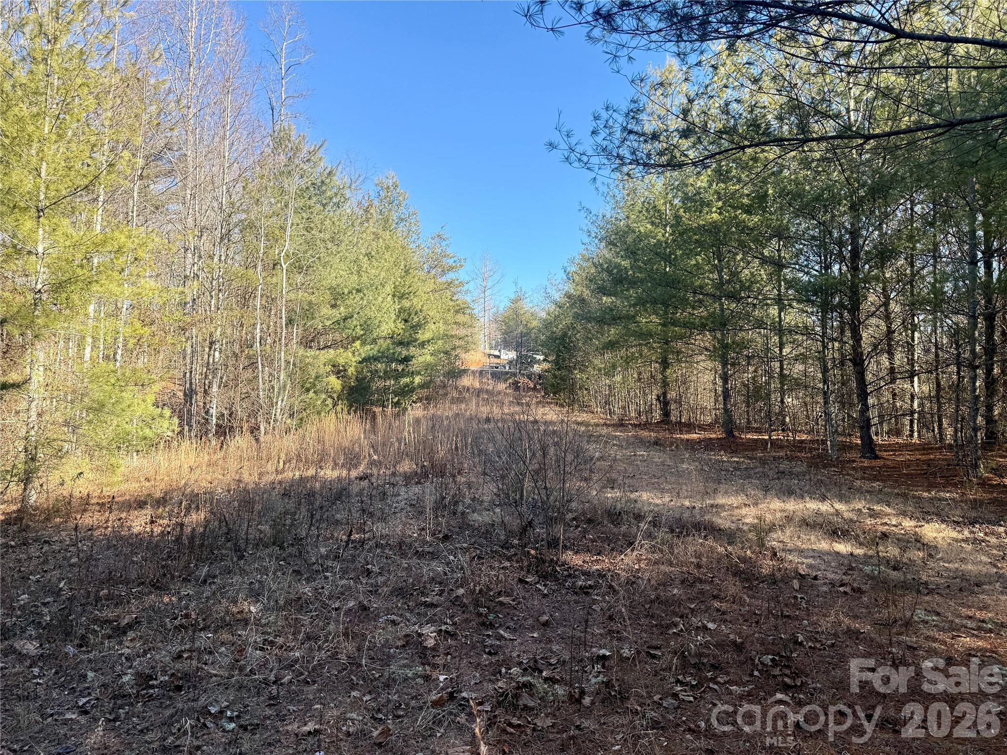 The Coves Mountain River Club - Land