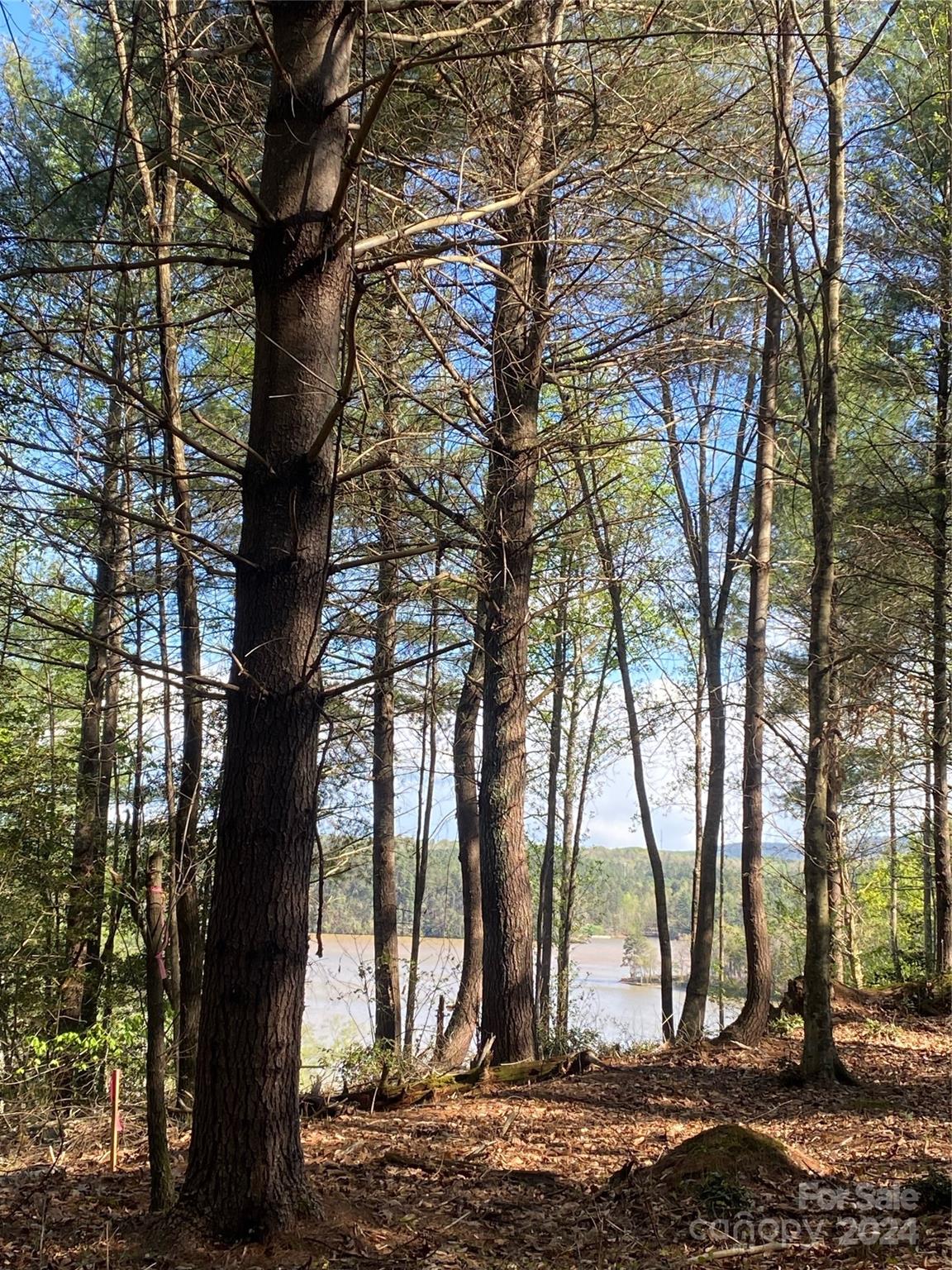 The Waterfront Club - Land