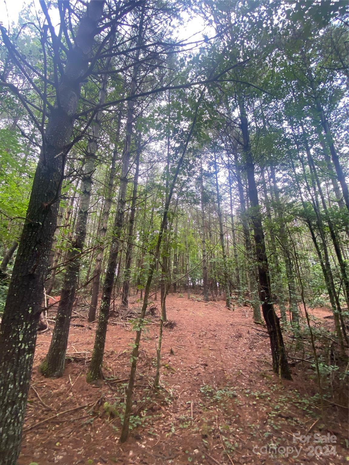 The Waterfront Club - Land