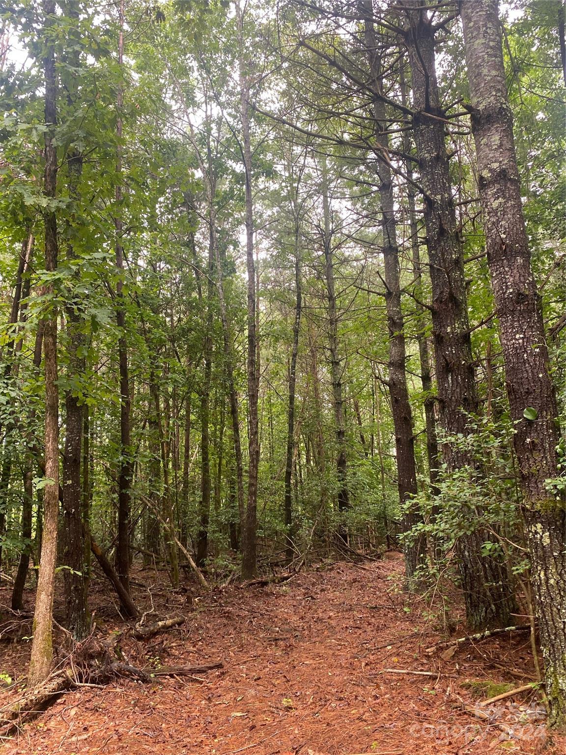 The Waterfront Club - Land