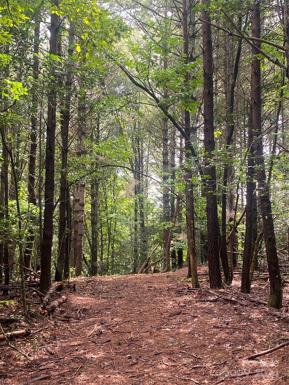 The Waterfront Club - Land