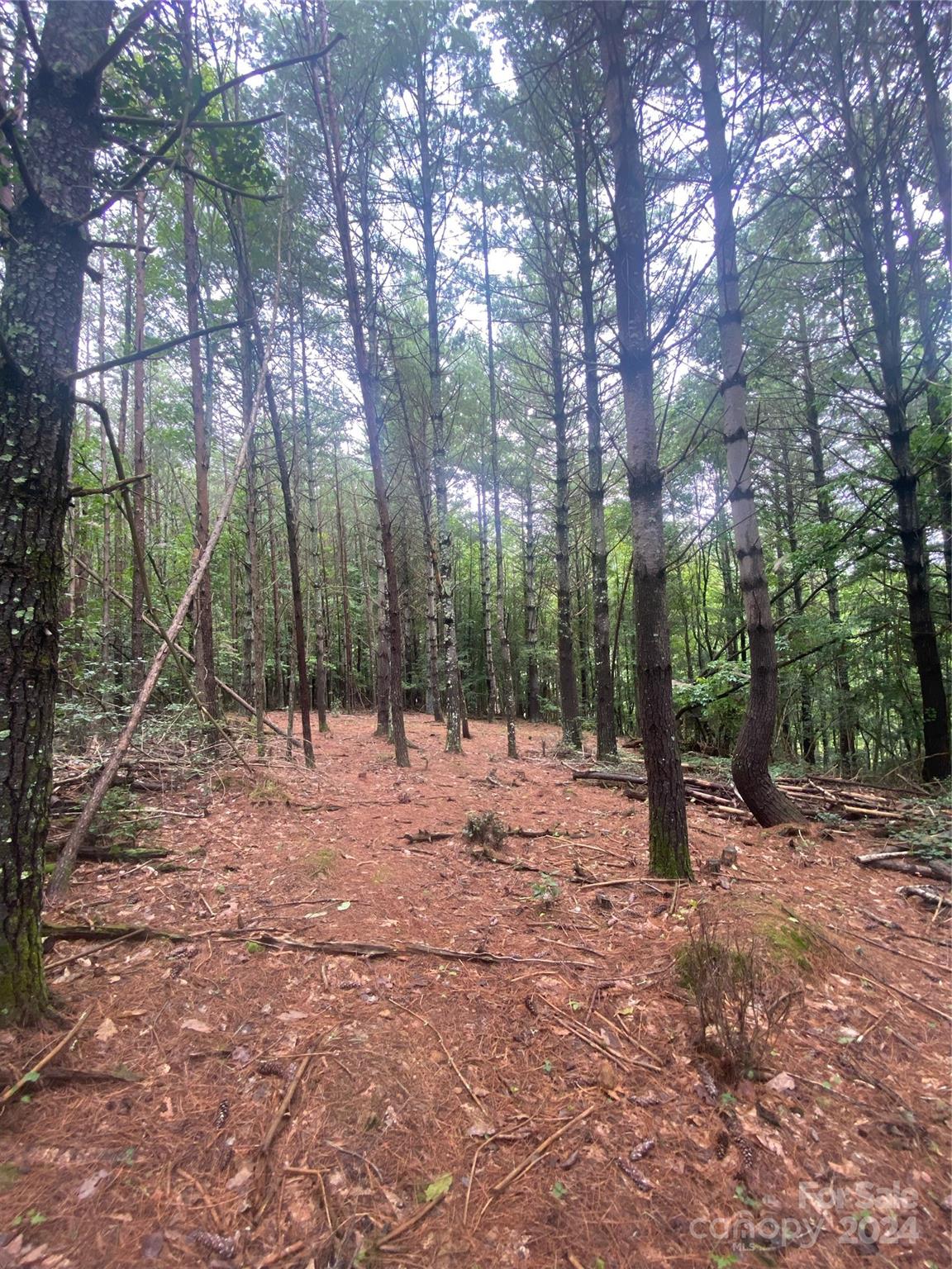 The Waterfront Club - Land