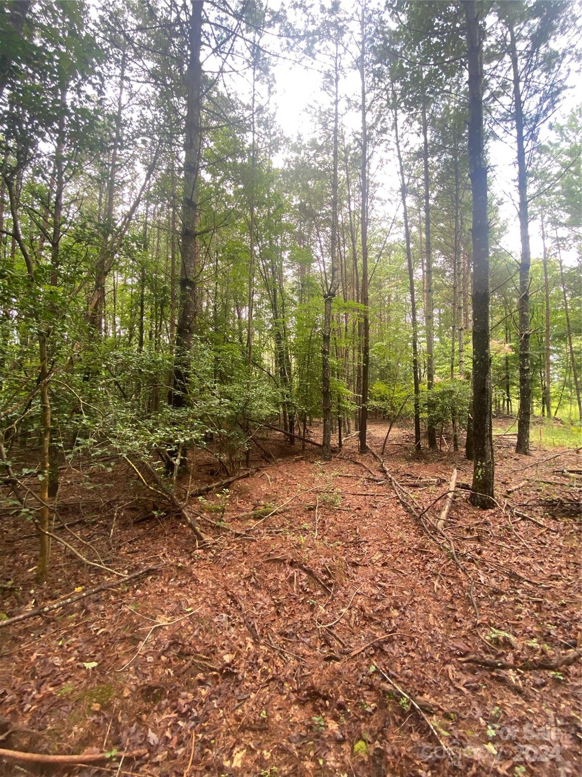 The Waterfront Club - Land