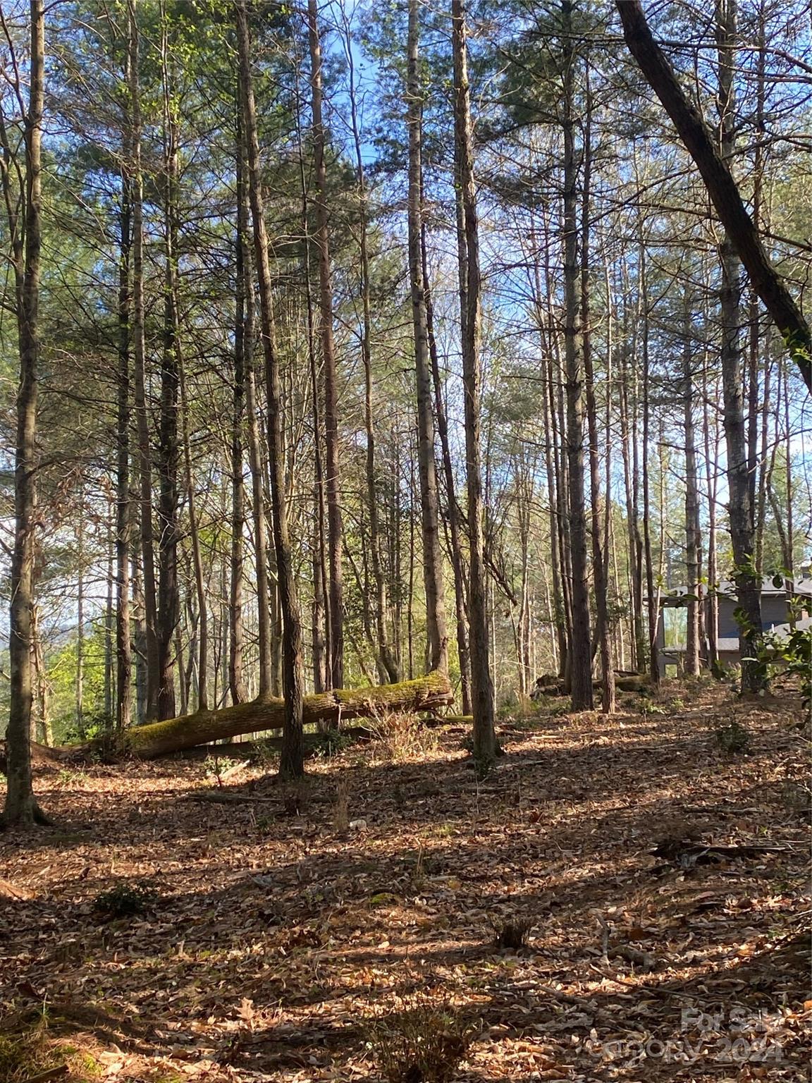 The Waterfront Club - Land