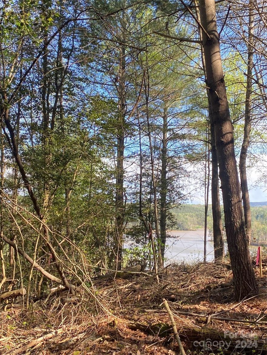 Beautiful vacant property of 2.84 acres with a Septic Permit completed. “The Waterfront Club" offers distance water view, and the property is very walkable and semi- cleared. This property also offers beautiful hardwoods, very private and convenient to Castle Bridge Marina. The Waterfront Club gated subdivision that is sure to please all lake lovers. Build your dream home or a vacation home on this large Lot which is sure to become a desirable place to be on Lake Rhodhiss. Beautiful views and enjoy scenic boating, fishing, or water sports. Dine in local eateries and hometown breweries, and convenient access to major highways that can take you to Charlotte or the Blue Ridge mountains in a short one -hour drive.