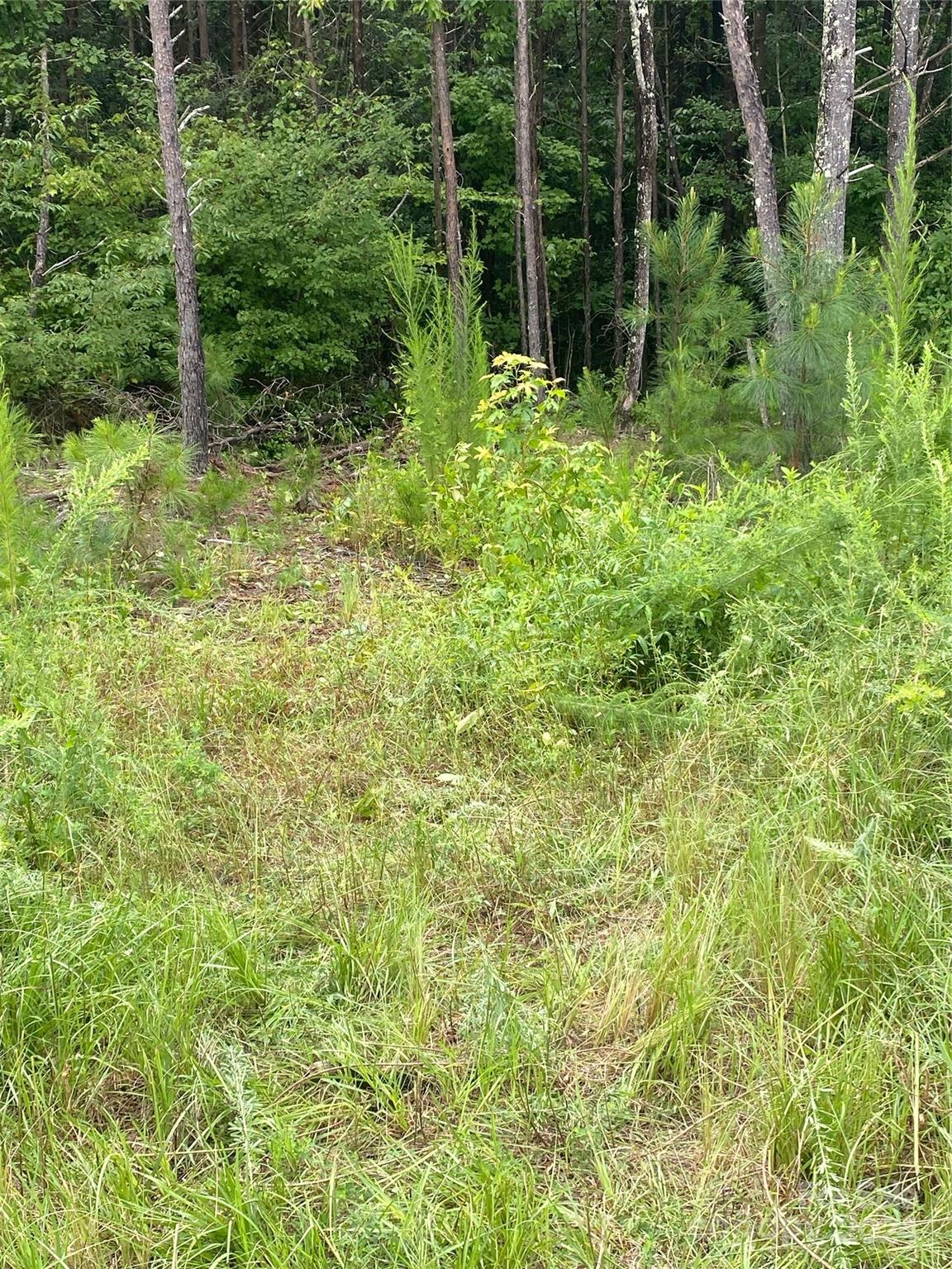 The Waterfront Club - Land