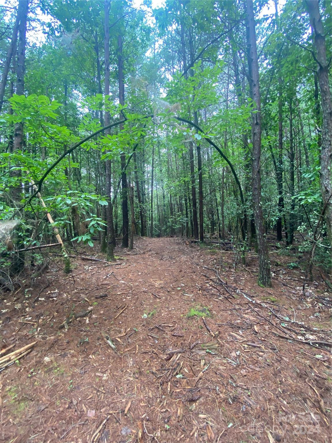 The Waterfront Club - Land