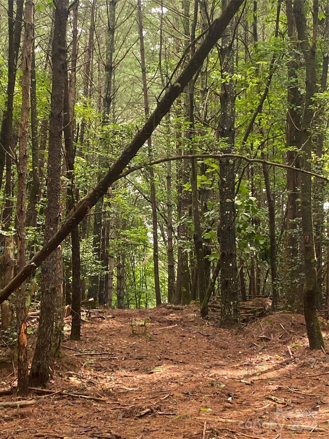 The Waterfront Club - Land