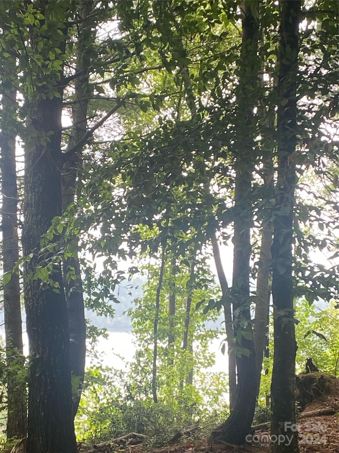 The Waterfront Club - Land