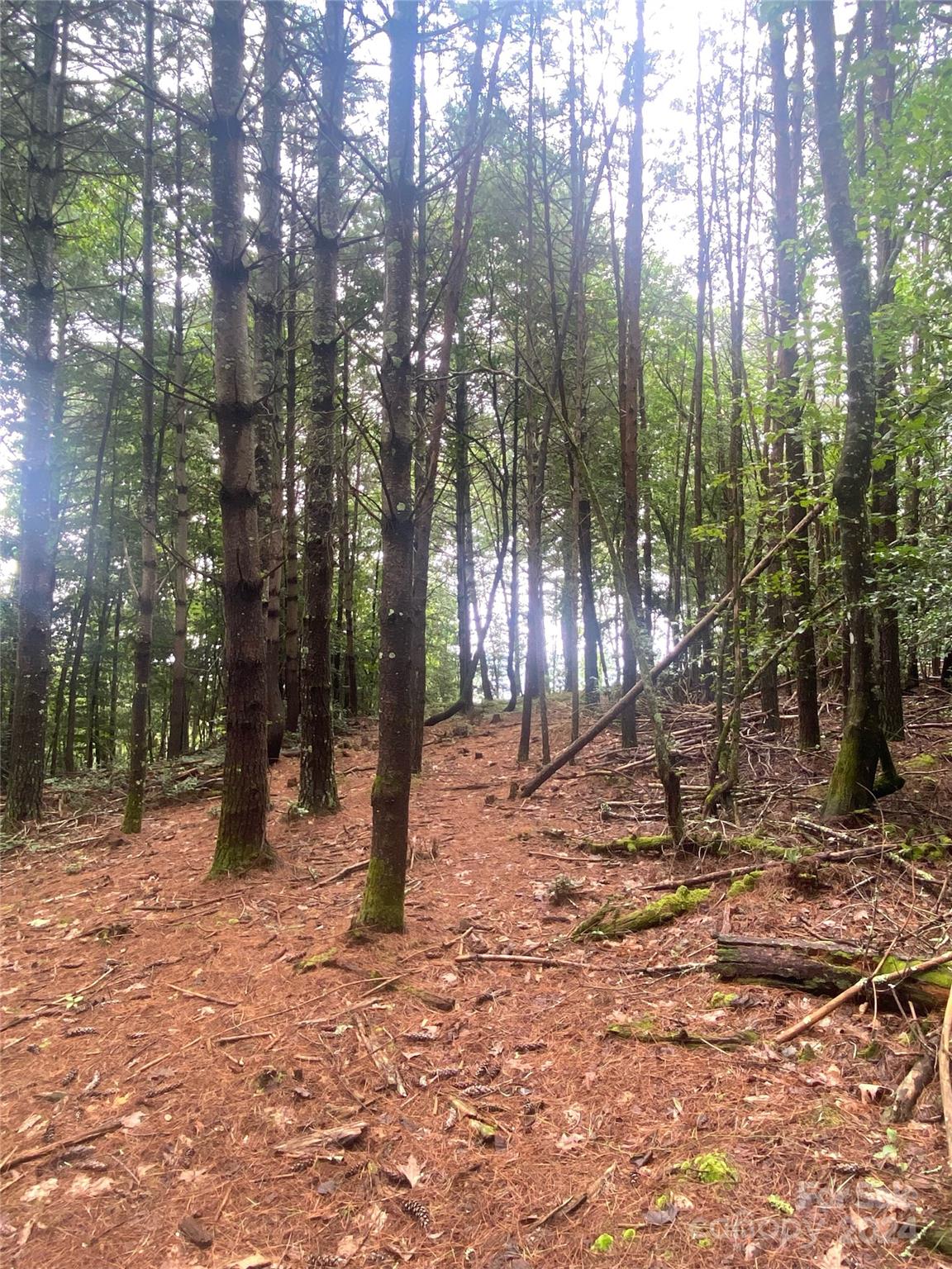 The Waterfront Club - Land