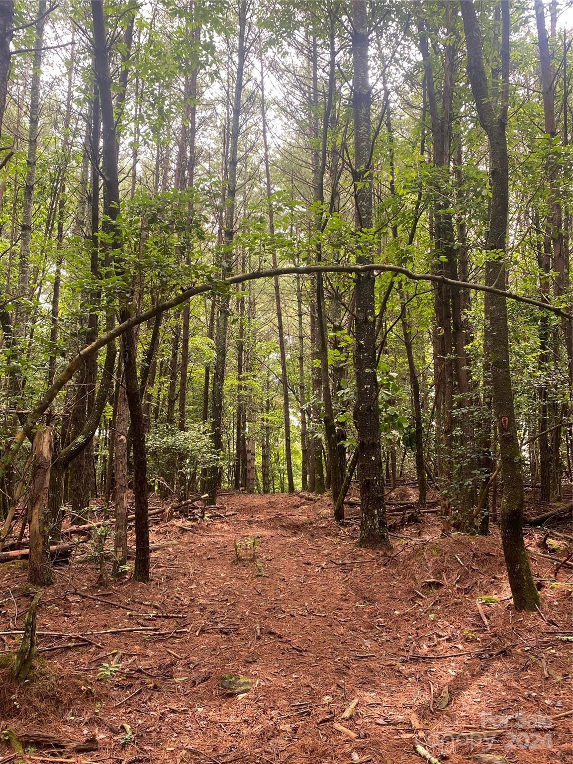 The Waterfront Club - Land