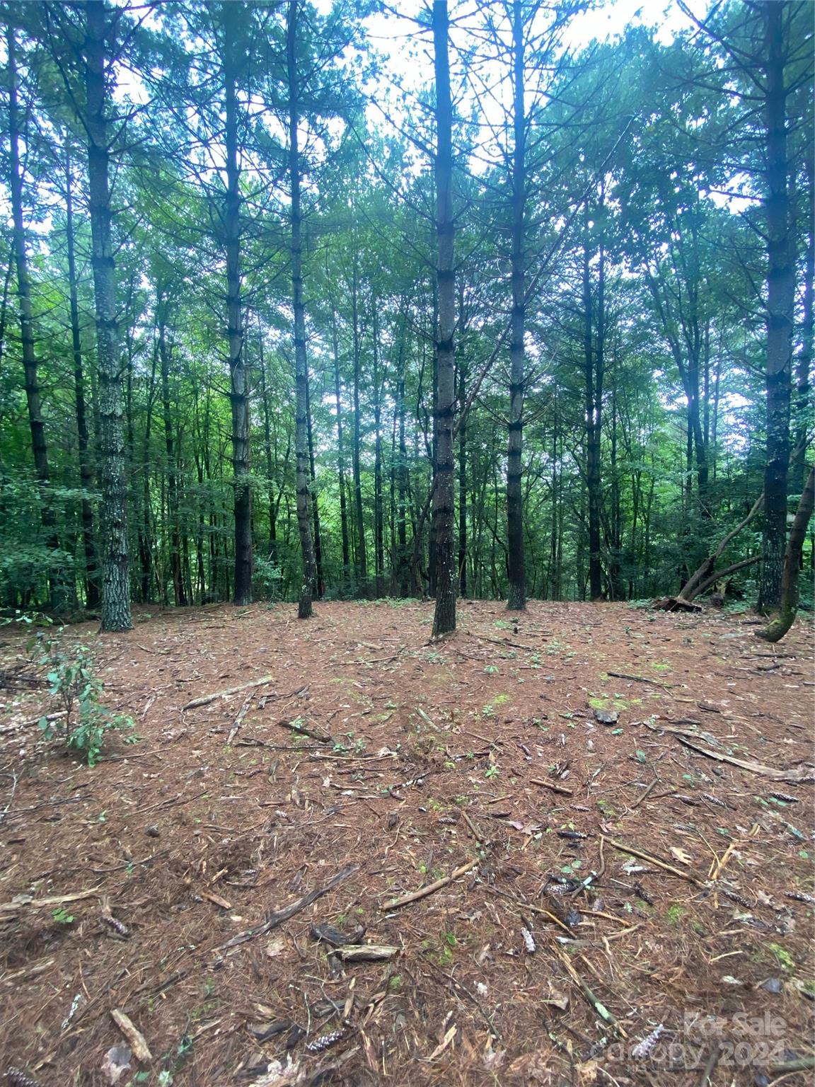 The Waterfront Club - Land