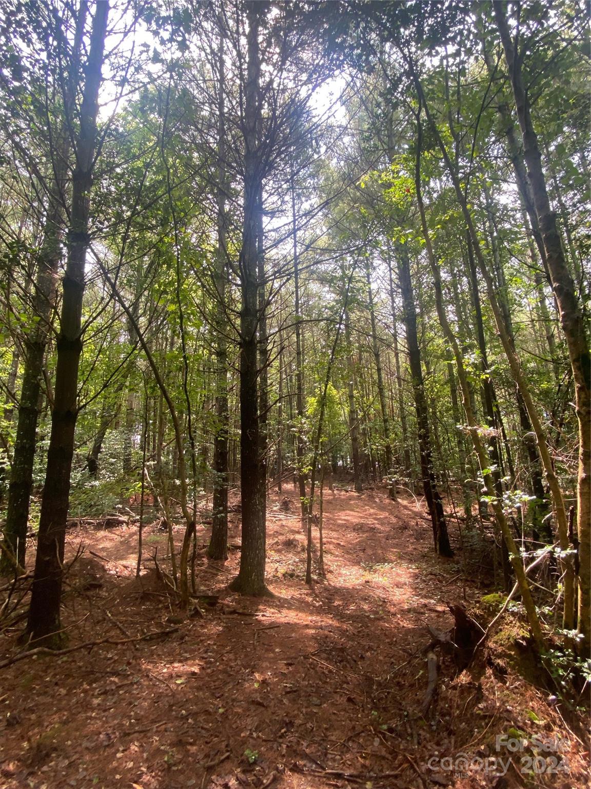 The Waterfront Club - Land