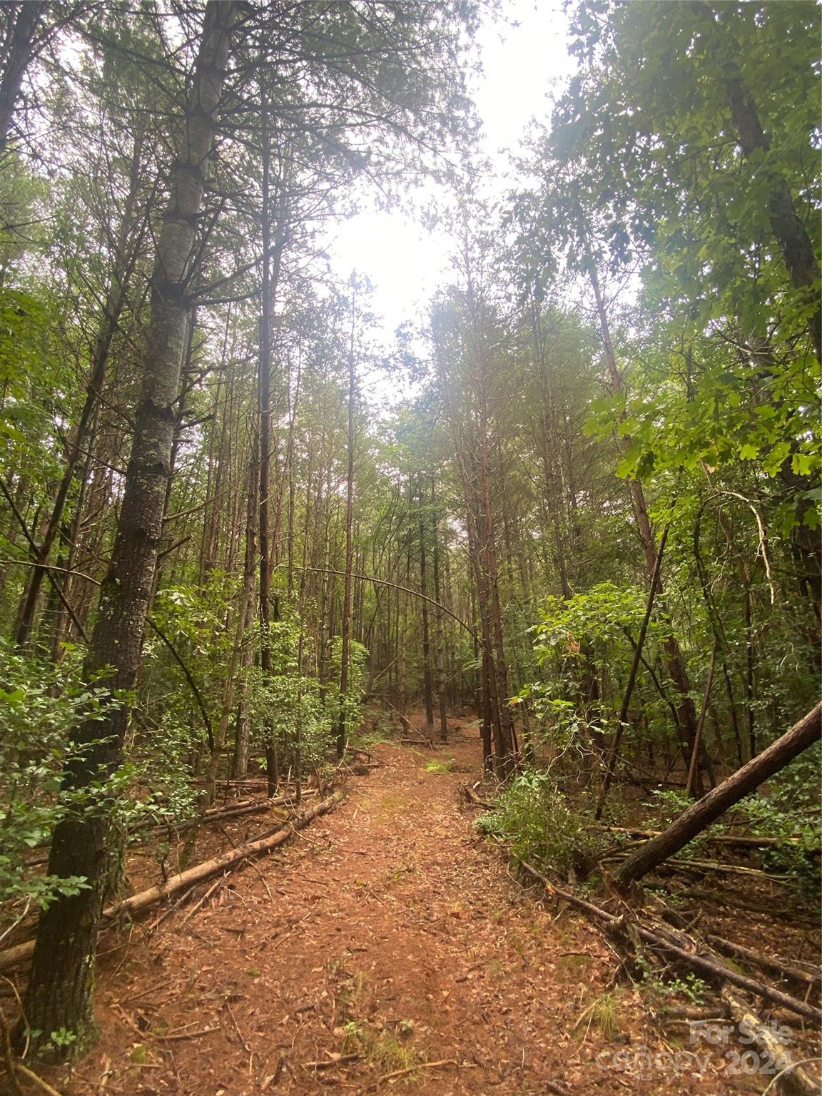 The Waterfront Club - Land