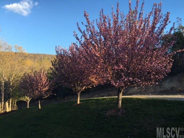 Wilderness Edge - Residential