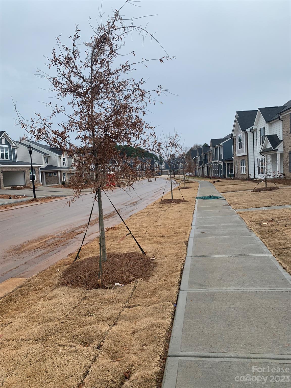 Odell Corners - Residential Lease