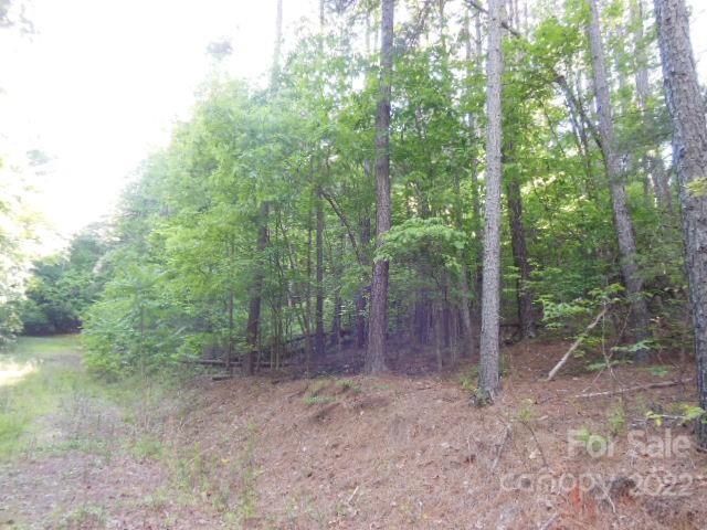 Deer Run at Lake Lure - Land