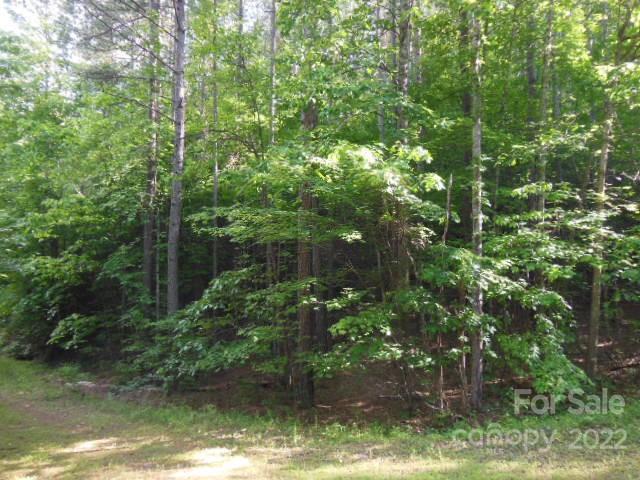 Deer Run at Lake Lure - Land