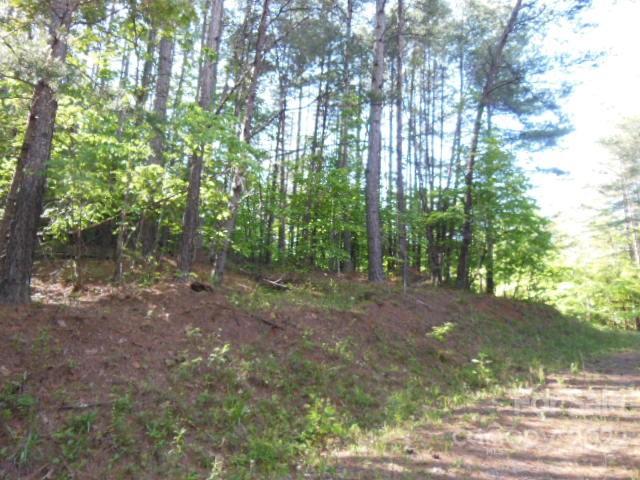 Deer Run at Lake Lure - Land