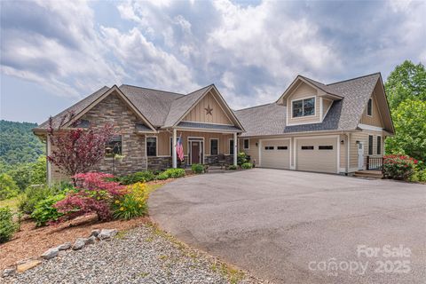 930 Big Raven Lane Saluda NC 28773