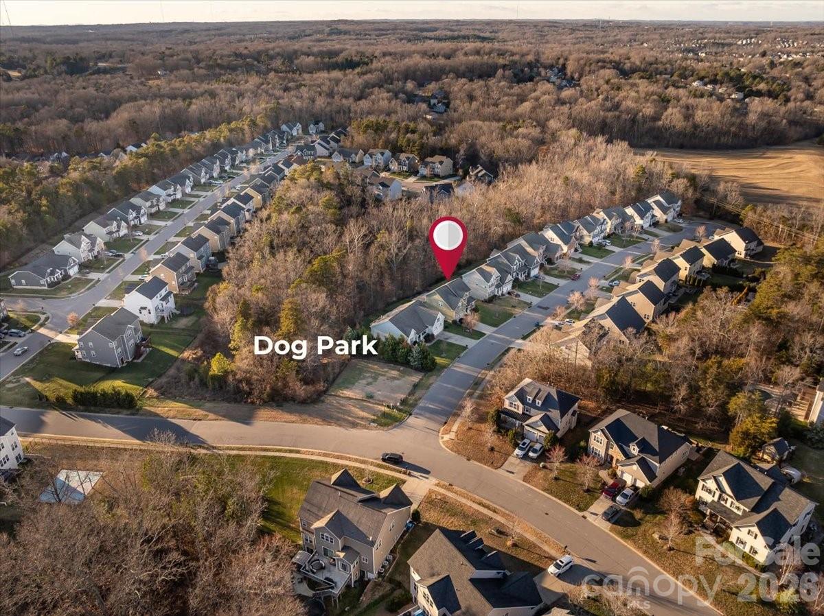 11516 Glowing Star Drive