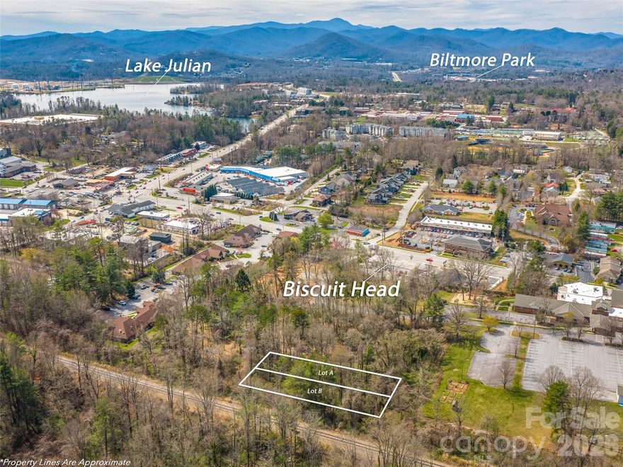 Two level lots side by side within Asheville city limits offering an excellent opportunity for builders or investors. Zoned HB (Highway Business), this lot may allow residential, live/work, or light commercial use. The level topography and ease of access supports a cost-effective build with minimal grading required. City sewer available at Lee St (buyer to confirm access and tap fees). Recorded access easement in place along Summit Ave. Prime South Asheville location just minutes to Biltmore Village and the Biltmore Estate, Biltmore Park, Asheville Regional Airport, Lake Julian, Whole Foods, Publix, and more!