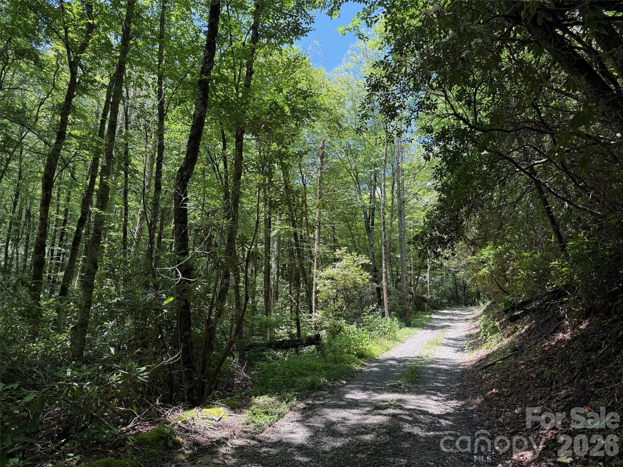 Lot #67 Spring Drive