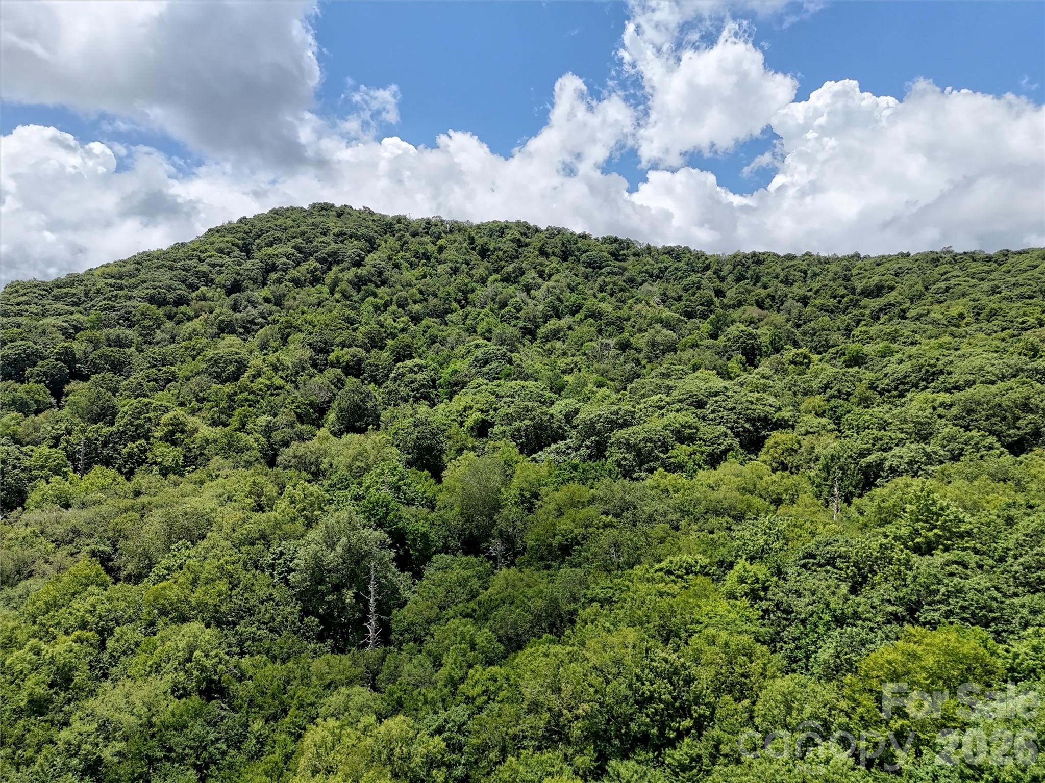 Lot #67 Spring Drive